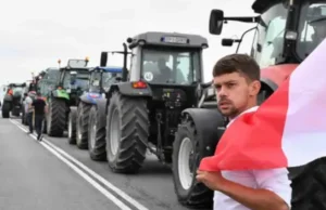 Kołodziejczak o proteście w Warszawie: "Żaden szanujący się rolnik nie powinien"
