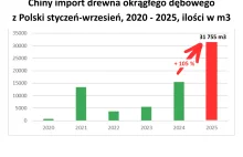 Bilans dotyczączy branży leśno - drzewnej za Rządów zjednoczonej Koalicji.