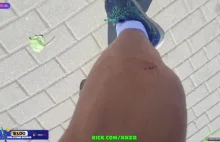 Streamer ugryziony przez psa podczas transmisji live: "musiał pan coś zrobić".