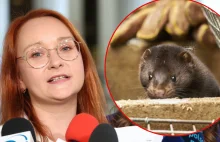 Temat zakazu hodowli zwierząt na futro wraca do Sejmu.