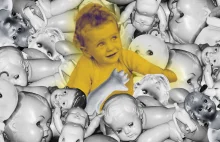 Demografii nie uratują tanie mieszkania, żłobki i 800+