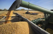 US pada rynek kukurydzy, rolnicy tracą $1 na każde sprzedane 25,5kg