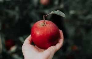 Apple oszalało. Firma próbuje zastrzec wizerunek zwykłego jabłka - Instalki.pl