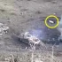 The Russian tank attack failed because of this sneaky weapon