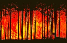Mega pożary w Kanadzie zniszczyły już ponad 10 milionów hektarów