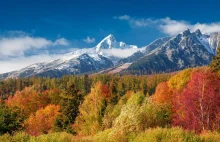 Słowacja narzeka na polskich turystów: Są rekordzistami w łamaniu przepisów