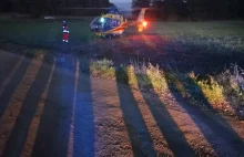 Pies pogryzł 5-letnie dziecko