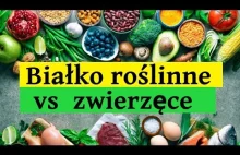 BIAŁKO zwierzęce czy ROŚLINNE? Które lepsze i dlaczego?