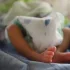 Rok po zakazie aborcji w Teksasie zmarło niemal 13 proc. niemowląt więcej