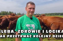 Gleba, zdrowie i logika - Jak przetrwać kolejny dzień (Lubuskie Angusowo)