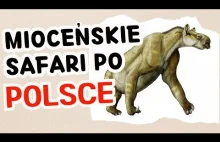Jak wyglądała Polska 15 mln lat temu?