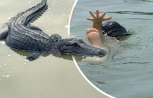 Krokodyl znalazł zwłoki 4-latka i przyniósł je ratownikom