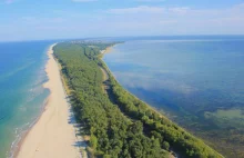 Hel - wycinka drzew na obszarze chronionym, żeby postawić hotel