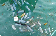 Ilość plastiku w oceanach jest około stukrotnie zawyżana przez WWF