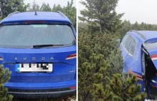 Skradzione auto odnalezione pod Śnieżką. Było ukryte w kosodrzewinie