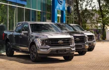 Nowy Ford F-150 dostępny w Polsce! W gamie silniki V6 i V8