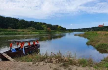 Katastrofa ekologiczna Odry. Monitoring rzek w Polsce. Fikcja czy rzeczywistość?