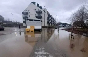 Grzyb w mieszkaniach, wilgoć w murach. Osiedle Zdrovo, Gdańsk, pozew zbiorowy