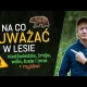 Dzikie zwierzęta, myśliwi - jak postępować by czuć się w lesie bezpieczniej!