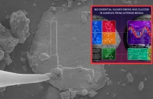 Cukry życia znalezione na asteroidzie. Przełomowe odkrycie NASA