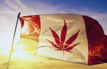 Czy legalizacja marihuany w Kanadzie wpłynęła na hospitalizacje? Oto wyniki bada