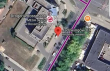 Pogryzienie człowieka przez psa na Mokotowie