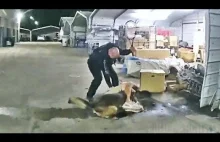 Policjant z USA gra w tenisa z człowiekiem który próbuje udusić mu psa.