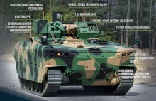 Borsuk w zbliżeniu. Precyzja i siła ognia