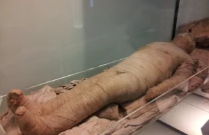 Warsztaty do mumifikacji odkryte w Egipcie