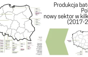 Produkcja baterii w Polsce: nowy sektor w kilka lat (2017-2024)