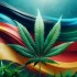 Niemcy dochodzą do porozumienia w sprawie legalizacji marihuany. Start w 2024 r.
