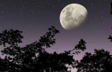 64 dni bez wschodu słońca w Utqiaġvik na Alasce!