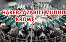 Hakerzy zabili mu krowę