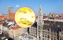 Bronił kobiet. Syryjczyk dźgnął go nożem. Brutalne sceny w Niemczech