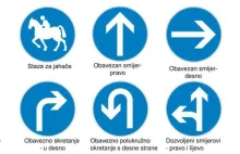 Strony ciała i ich etymologia. Część 1: strona prawa