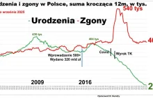 Roczna suma urodzeń w Polsce spadła już do 240 tysięcy