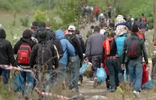 Przemytnicy zachwalają szlak przez Polskę i chwalą NGO-sy za pomoc