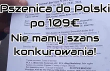 ZZR "Korona": Pszenica do Polski po 109 euro/tona. Polscy rolnicy są bez szans?