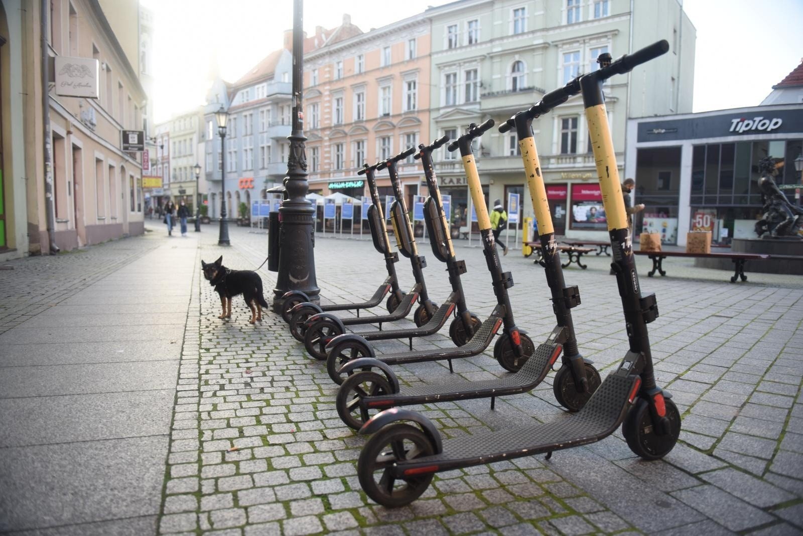 Jaki dokument uprawnia do jeżdzenia hulajnogą? Wykop.pl