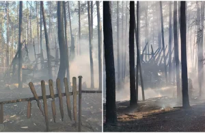 Pożar we Wdzydzach Kiszewskich. Ogień zajął domki letniskowe i pobliski las