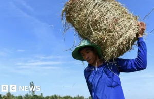 Zmiany klimatu: Wietnam odnotowuje najwyższą w historii temperaturę 44,1°C