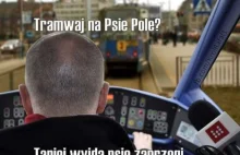 Wrocław miastem memów