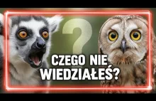 Czego NIE WIEDZIAŁES o tych zwierzetach?