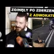 Adwokat Paweł K. jeździ trumną na kółkach?