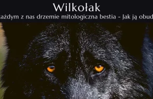 Wilkołak - W każdym z nas drzemie mitologiczna bestia | Jak ją obudzić?