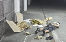 Kraków. To nie jest żart! Złodziej spadł policjantom z sufitu