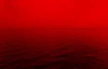 Trump: 'Będzie szczyt Putina z Zełenskim. Ukraina kupi broń za 100 mld USD