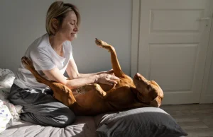 W Polsce jest obecnie więcej domostw z psami niż z dziećmi