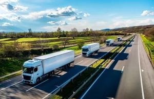 Polska stała się dla Niemiec ważniejszym partnerem handlowym niż Chiny