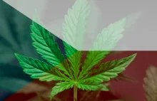 Marihuana w Czechach: Kraj opublikował wersję ustawy o legalizacji marihuany